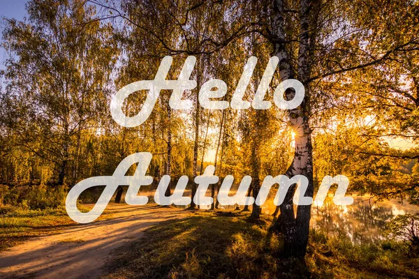 Die Worte Hallo Herbst Auf Dem Hintergrund Des Birkenwaldes Mit — Stockfoto