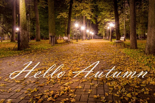 落ち葉と木の夜市公園の背景にある こんにちは秋 という言葉 グリーティングカード 秋シーズンの始まりのコンセプト — ストック写真