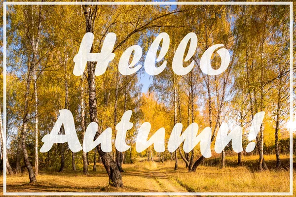 Słowa Hello Autumn Tle Lasu Brzozowego Złotymi Liśćmi Kartka Życzeniami — Zdjęcie stockowe