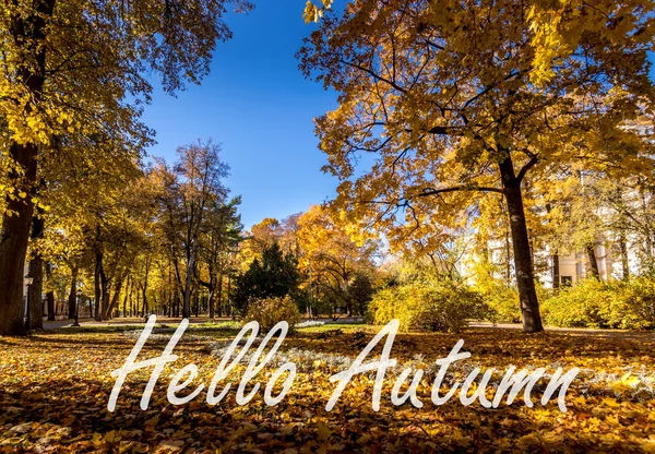 Слова Hello Autumn Фоне Осеннего Парка Освещенного Солнцем Золотой Осенний — стоковое фото