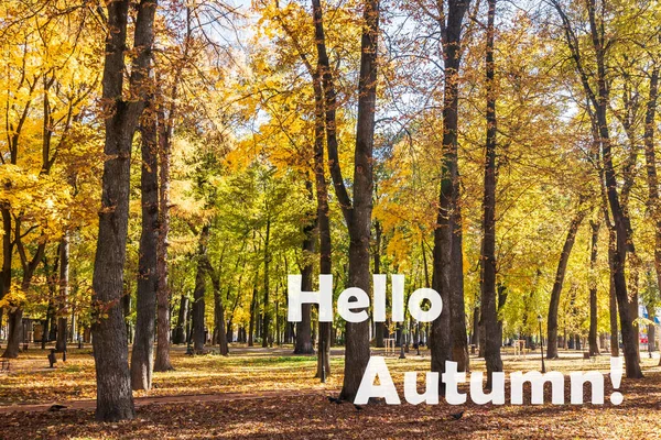 Las Palabras Hello Autumn Fondo Del Parque Otoñal Iluminado Por — Foto de Stock
