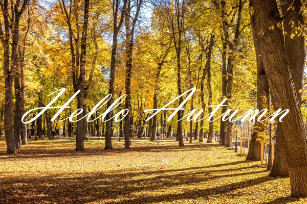 Słowa Hello Autumn Tle Jesiennego Parku Oświetlonego Słońcem Złotym Sezonie — Zdjęcie stockowe