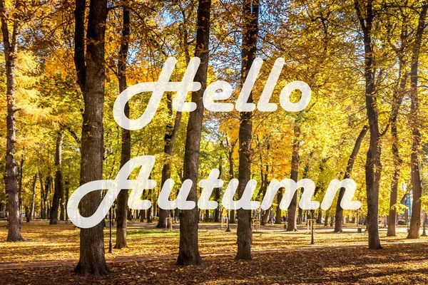 Szavak Hello Autumn Háttérben Őszi Park Világít Nap Arany Őszi — Stock Fotó