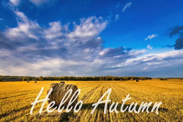 Słowa Hello Autumn Tle Pola Złotymi Stogami Siana Kartka Życzeniami — Zdjęcie stockowe