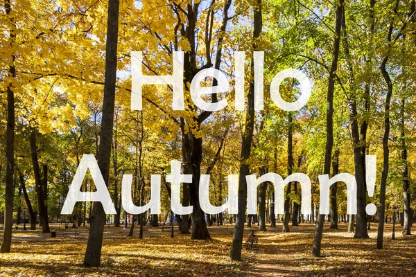 Szavak Hello Autumn Háttérben Őszi Park Világít Nap Arany Őszi — Stock Fotó