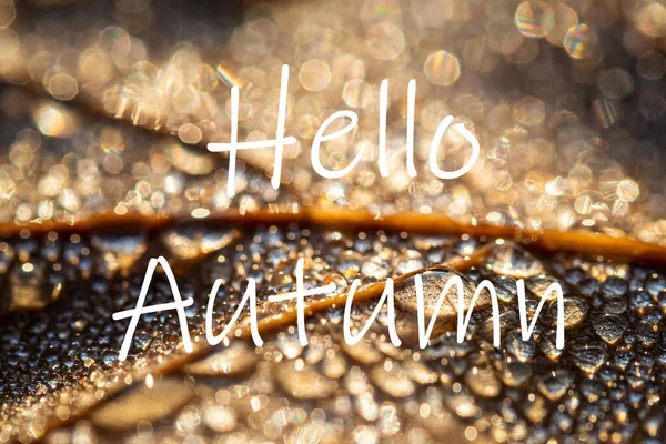 Słowa Hello Autumn Tle Jesiennego Opadłego Liścia Kroplami Rosy Kartka — Zdjęcie stockowe