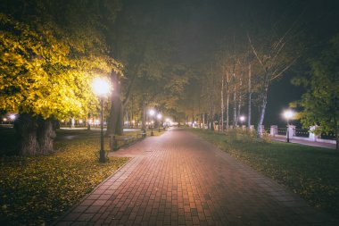 Altın Sonbahar 'daki şehir gece parkında fenerler, düşmüş sarı yapraklar ve akçaağaç ağaçları. Manzara. Klasik film estetiği..