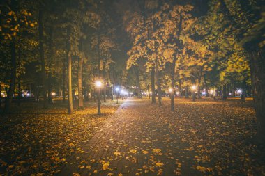 Altın Sonbahar 'daki şehir gece parkında fenerler, düşmüş sarı yapraklar ve akçaağaç ağaçları. Manzara. Klasik film estetiği..