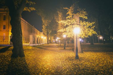 Altın Sonbahar 'daki şehir gece parkında fenerler, düşmüş sarı yapraklar ve akçaağaç ağaçları. Manzara. Klasik film estetiği..