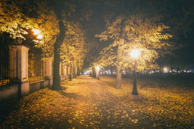 Altın Sonbahar 'daki şehir gece parkında fenerler, düşmüş sarı yapraklar ve akçaağaç ağaçları. Manzara. Klasik film estetiği..