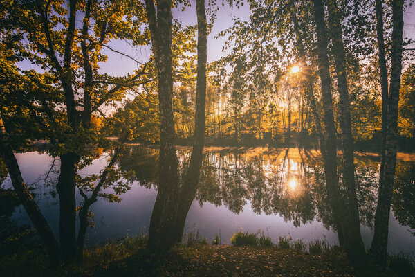 Sunrise near the pond with birches on a sunny autumn morning. Landscape. Vintage film aesthetic.