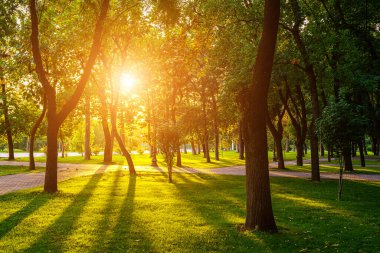 Yaz ya da bahar aylarında Taşkent, Özbekistan 'da günbatımında ya da gündoğumunda kaldırım, yeşil çimen ve ağaçlarla şehir parkı. Peyzaj.