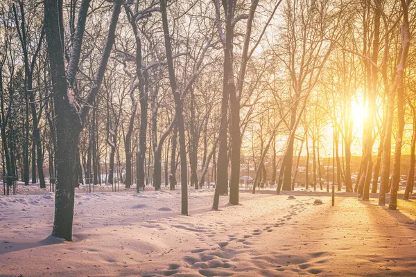 Sunset or dawn in a winter city park with benches and sidewalks covered in snow and ice and sunlight streaming through tree trunks. Vintage film aesthetic.