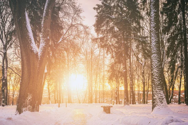 Sunset or dawn in a winter city park with benches and sidewalks covered in snow and ice and sunlight streaming through tree trunks. Vintage film aesthetic.