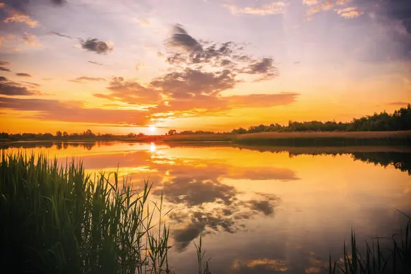 Sunset or sunrise above the pond or lake at spring or early summer evening or morning with cloudy sky background and reed grass. Springtime landscape. Water reflection. Vintage film aesthetic.