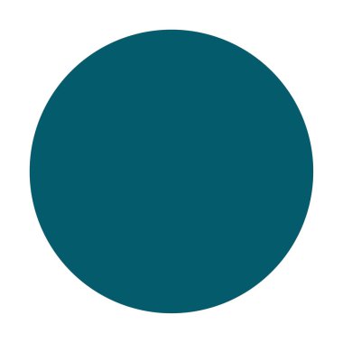 Kamera. Web simgesi basit illüstrasyon 