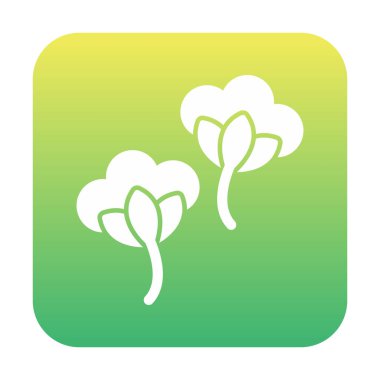 Pamuk çiçeklerinin basit web çizimi