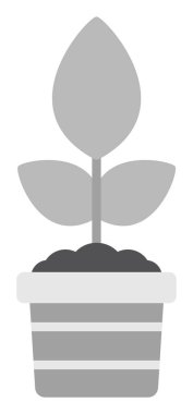 Çömlekteki düz bitkinin vektör çizimi