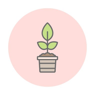 Çömlekteki düz bitkinin vektör çizimi