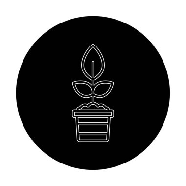Çömlekteki düz bitkinin vektör çizimi