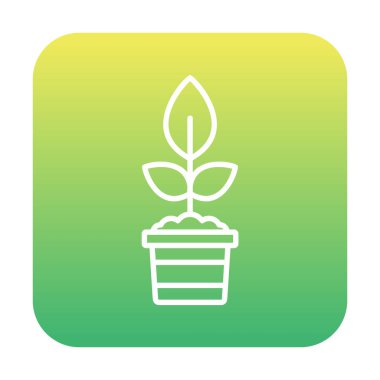  demlik vektör tasarımında düz bitki