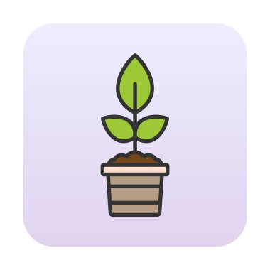 çömlek simgesine bitki, vektör illüstrasyonu 