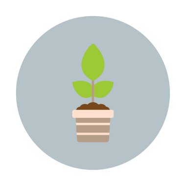 çömlek simgesine bitki, vektör illüstrasyonu 