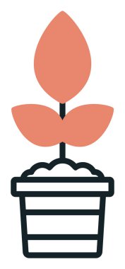 çömlek simgesine bitki, vektör illüstrasyonu 