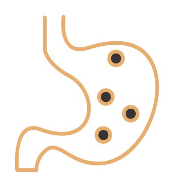 İnsan mide ikonu. Beyaz arkaplanda izole edilmiş web tasarımı için İnsan mide vektörü simgesi