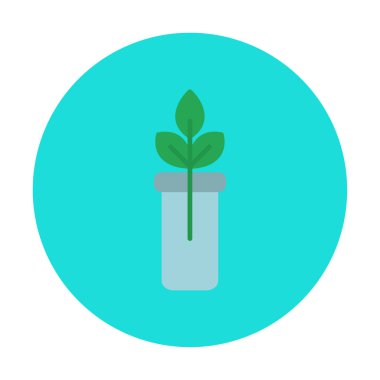 bir test tüpünde bitki, gmo konsepti, vektör illüstrasyonu  