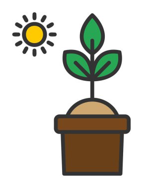 Güneş ve bitki saksı ikonunda. Vektör çizimi. Fotosentez sembolü 