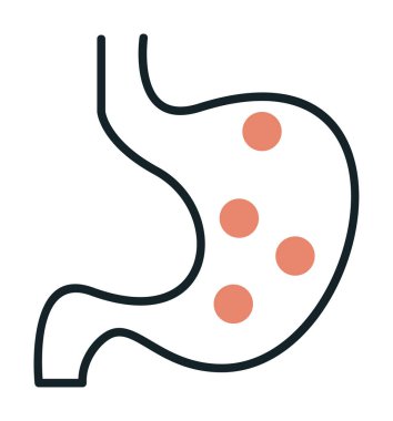 İnsan mide ikonu. Beyaz arkaplanda izole edilmiş web tasarımı için İnsan mide vektörü simgesi