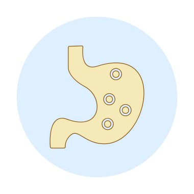 İnsan mide ikonu. Beyaz arkaplanda izole edilmiş web tasarımı için İnsan mide vektörü simgesi