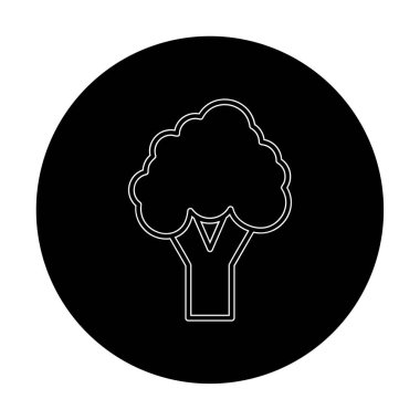 brokoli web simgesi, vektör illüstrasyonu  