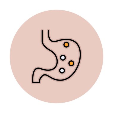 İnsan mide ikonu. Beyaz arkaplanda izole edilmiş web tasarımı için İnsan mide vektörü simgesi