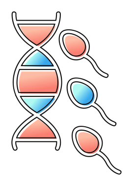 Üreme sisteminin vektör çizgisi çizimi