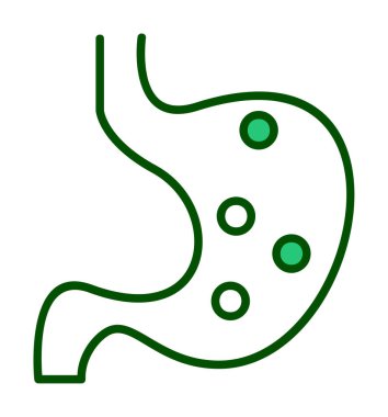 İnsan mide ikonu. Beyaz arkaplanda izole edilmiş web tasarımı için İnsan mide vektörü simgesi