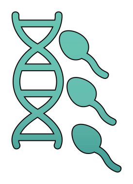 Üreme sisteminin vektör çizgisi çizimi