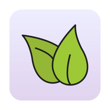 ekoloji sembolü, yaprak simgesi, vektör illüstrasyon grafiği