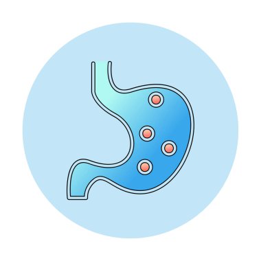 İnsan mide ikonu. Beyaz arkaplanda izole edilmiş web tasarımı için İnsan mide vektörü simgesi