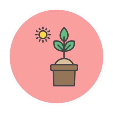 Güneş ve bitki saksı ikonunda. Vektör çizimi. Fotosentez sembolü 