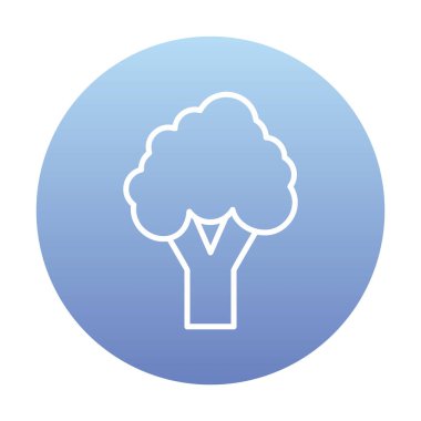 brokoli web simgesi, vektör illüstrasyonu  