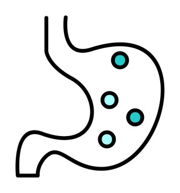 İnsan mide ikonu. Beyaz arkaplanda izole edilmiş web tasarımı için İnsan mide vektörü simgesi