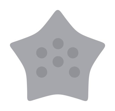 denizyıldızı düz ikon vektör çizimi 