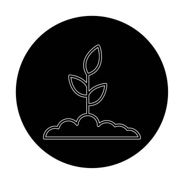 Yapraklı saksıda bitki, vektör çizimi 