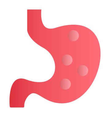 İnsan mide ikonu. Beyaz arkaplanda izole edilmiş web tasarımı için İnsan mide vektörü simgesi