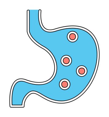 İnsan mide ikonu. Beyaz arkaplanda izole edilmiş web tasarımı için İnsan mide vektörü simgesi