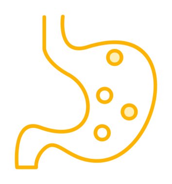 İnsan mide ikonu. Beyaz arkaplanda izole edilmiş web tasarımı için İnsan mide vektörü simgesi