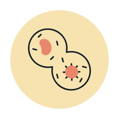 Mitoz web simgesi, vektör illüstrasyonu