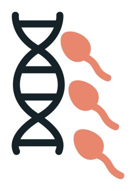 Üreme sisteminin vektör çizgisi çizimi